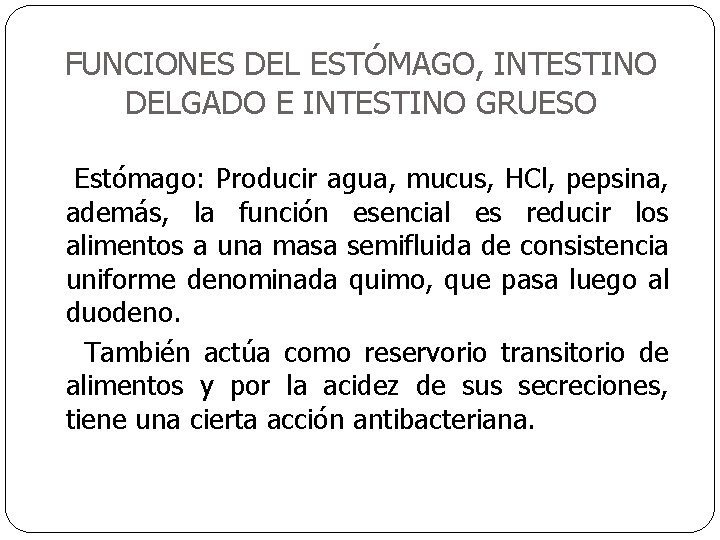 FUNCIONES DEL ESTÓMAGO, INTESTINO DELGADO E INTESTINO GRUESO Estómago: Producir agua, mucus, HCl, pepsina,
