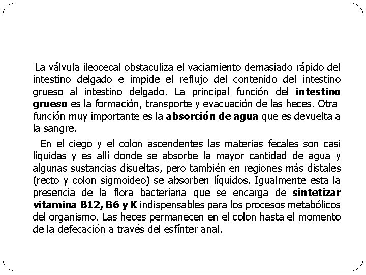 La válvula ileocecal obstaculiza el vaciamiento demasiado rápido del intestino delgado e impide el