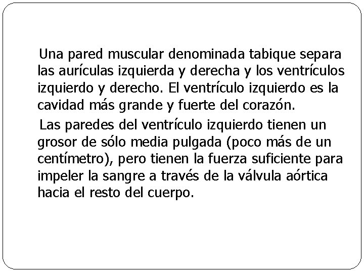 Una pared muscular denominada tabique separa las aurículas izquierda y derecha y los ventrículos