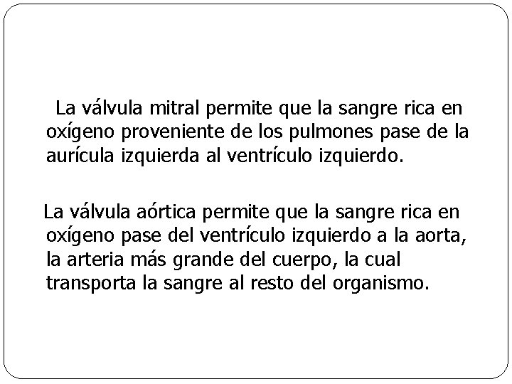 La válvula mitral permite que la sangre rica en oxígeno proveniente de los pulmones