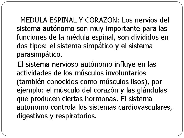  MEDULA ESPINAL Y CORAZON: Los nervios del sistema autónomo son muy importante para