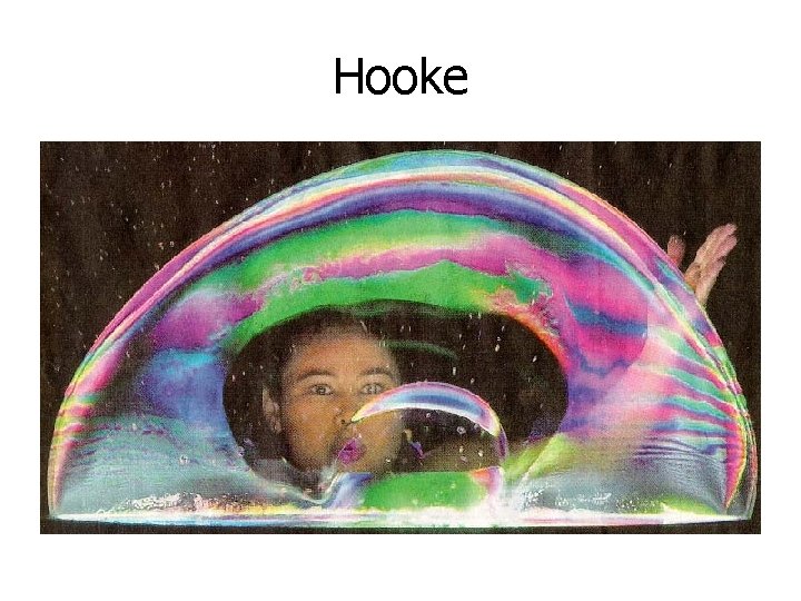 Hooke 