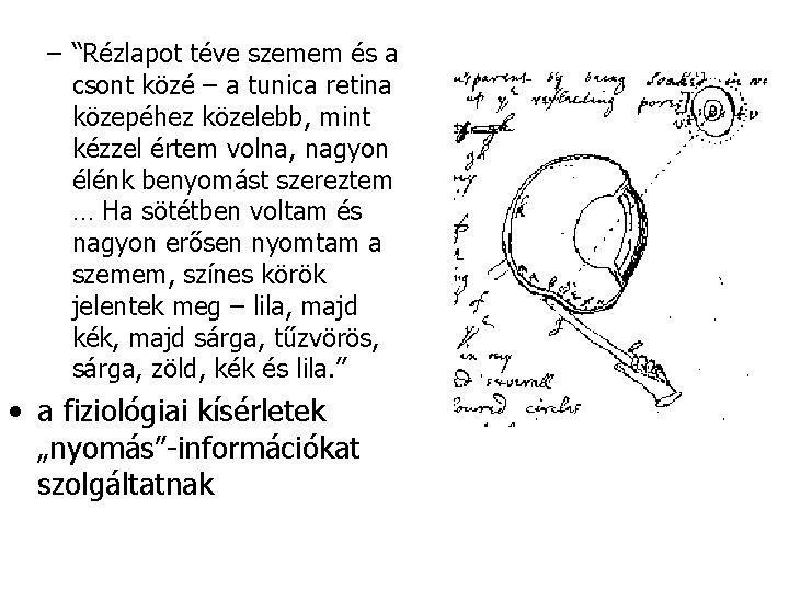 – “Rézlapot téve szemem és a csont közé – a tunica retina közepéhez közelebb,