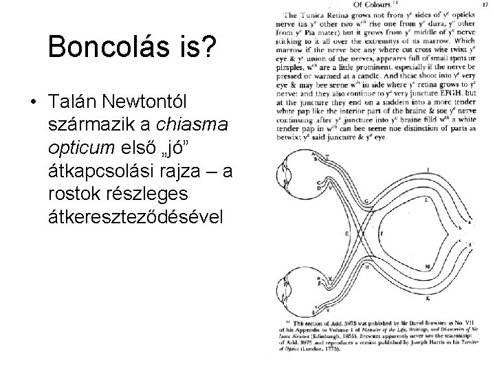 Boncolás is? • Talán Newtontól származik a chiasma opticum első „jó” átkapcsolási rajza –