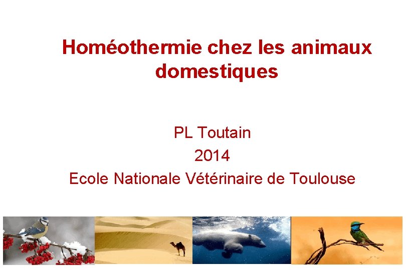 Homéothermie chez les animaux domestiques PL Toutain 2014 Ecole Nationale Vétérinaire de Toulouse 