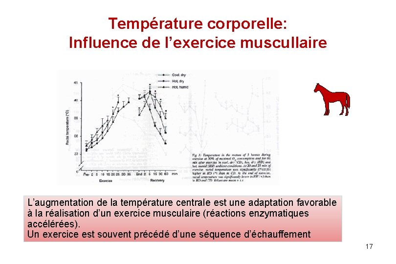 Température corporelle: Influence de l’exercice muscullaire L’augmentation de la température centrale est une adaptation