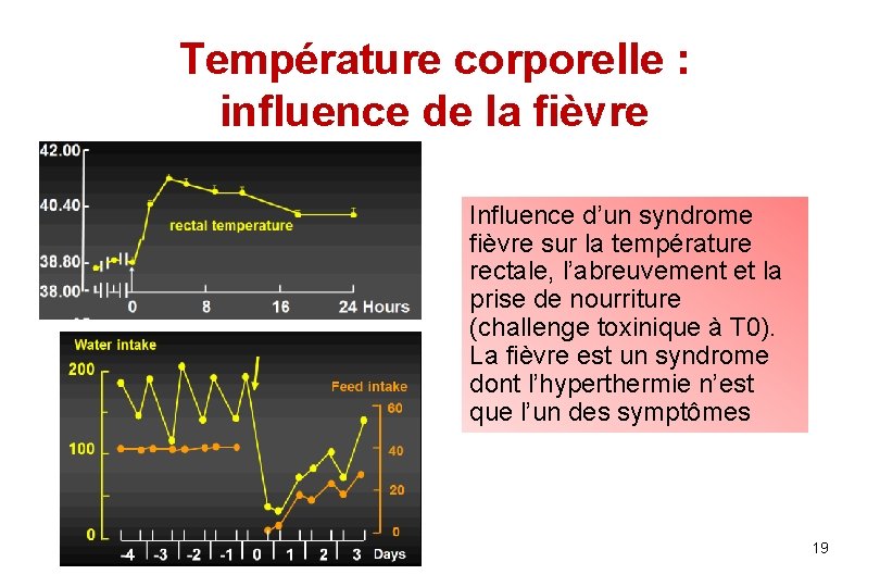 Température corporelle : influence de la fièvre Influence d’un syndrome fièvre sur la température