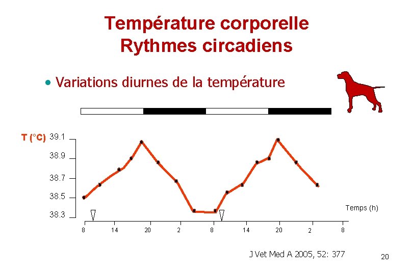 Température corporelle Rythmes circadiens • Variations diurnes de la température T (°C) 39. 1