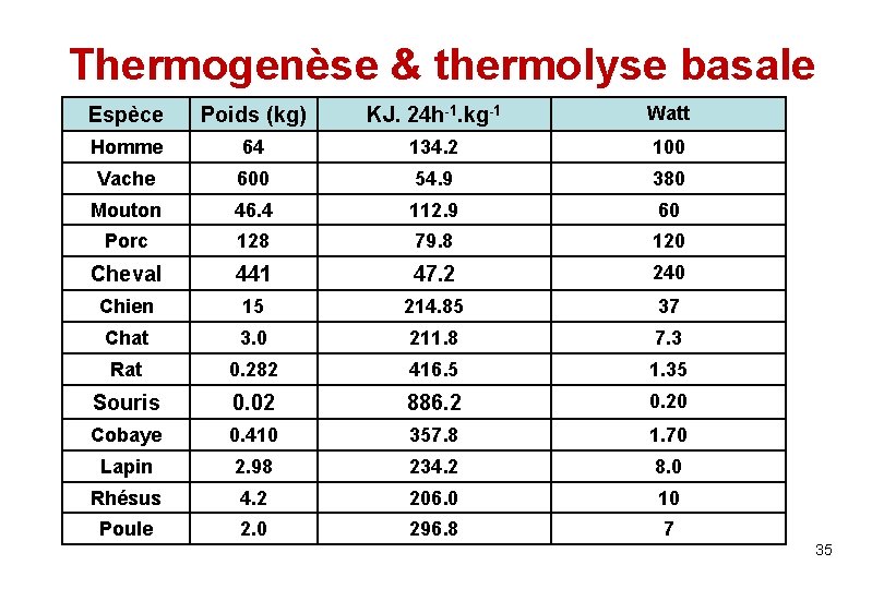 Thermogenèse & thermolyse basale Espèce Poids (kg) KJ. 24 h-1. kg-1 Watt Homme 64