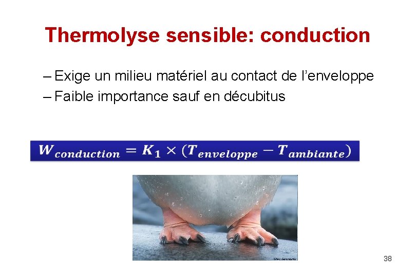 Thermolyse sensible: conduction – Exige un milieu matériel au contact de l’enveloppe – Faible