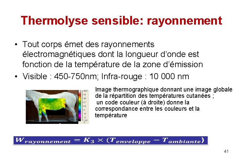 Thermolyse sensible: rayonnement • Tout corps émet des rayonnements électromagnétiques dont la longueur d’onde