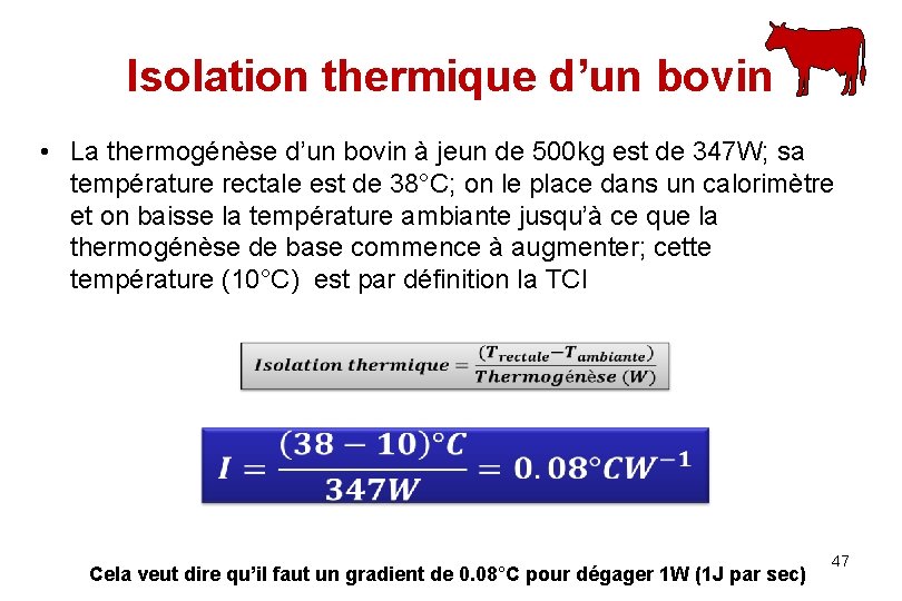 Isolation thermique d’un bovin • La thermogénèse d’un bovin à jeun de 500 kg