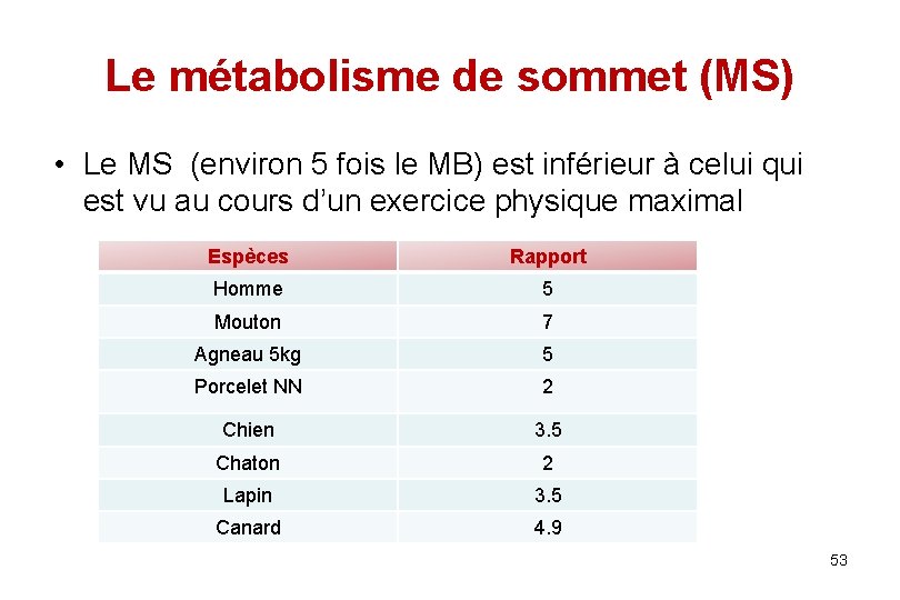 Le métabolisme de sommet (MS) • Le MS (environ 5 fois le MB) est