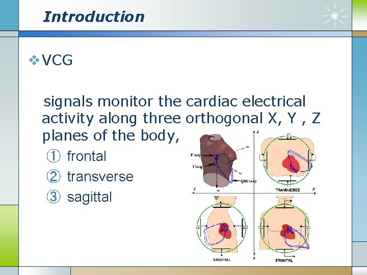 Introduction v VCG signals monitor the cardiac electrical activity along three orthogonal X, Y