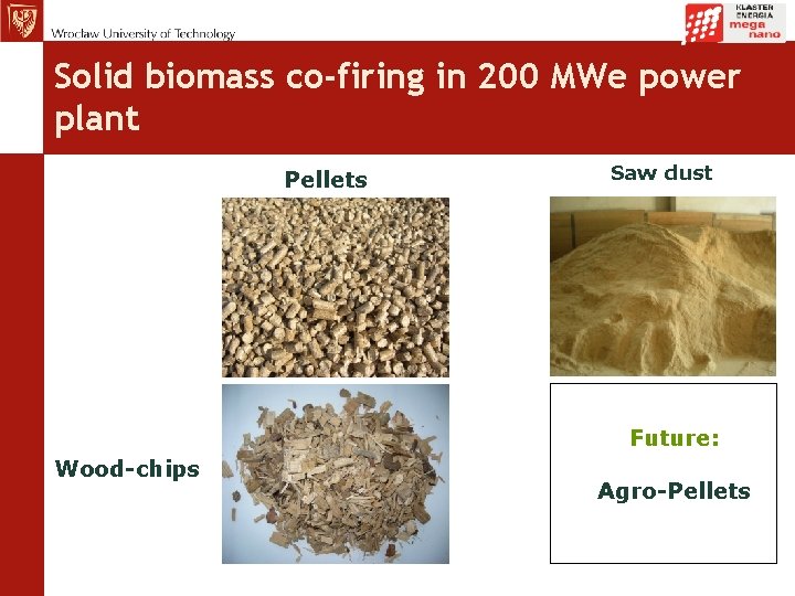 Solid biomass co-firing in 200 MWe power plant Pellets Saw dust Future: Wood-chips Agro-Pellets