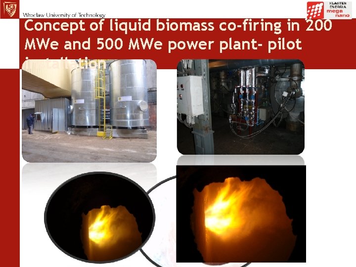 Concept of liquid biomass co-firing in 200 MWe and 500 MWe power plant- pilot