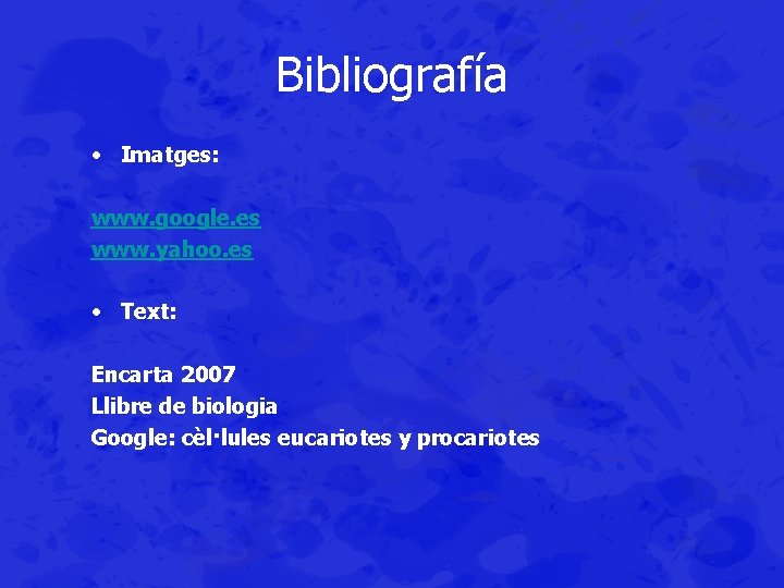 Bibliografía • Imatges: www. google. es www. yahoo. es • Text: Encarta 2007 Llibre