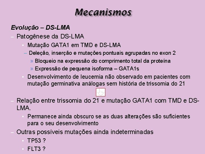 Evolução – DS-LMA – Patogênese da DS-LMA • Mutação GATA 1 em TMD e