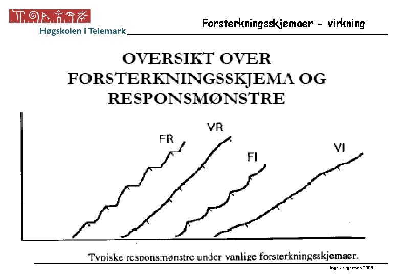Forsterkningsskjemaer - virkning Inge Jørgensen 2008 