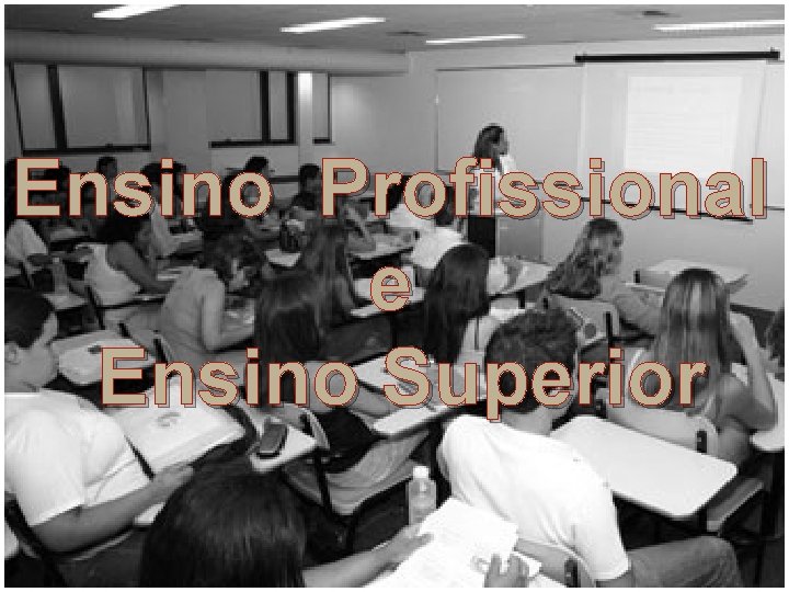 Ensino Profissional e Ensino Superior 