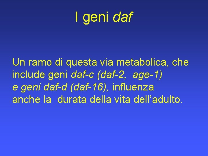 I geni daf Un ramo di questa via metabolica, che include geni daf-c (daf-2,