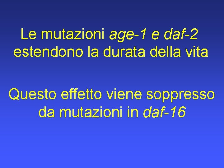 Le mutazioni age-1 e daf-2 estendono la durata della vita Questo effetto viene soppresso