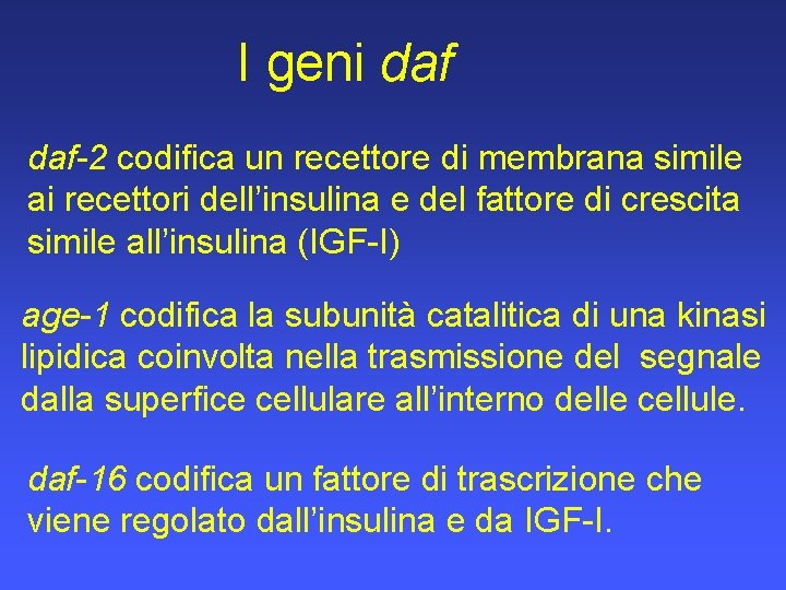 I geni daf-2 codifica un recettore di membrana simile ai recettori dell’insulina e del