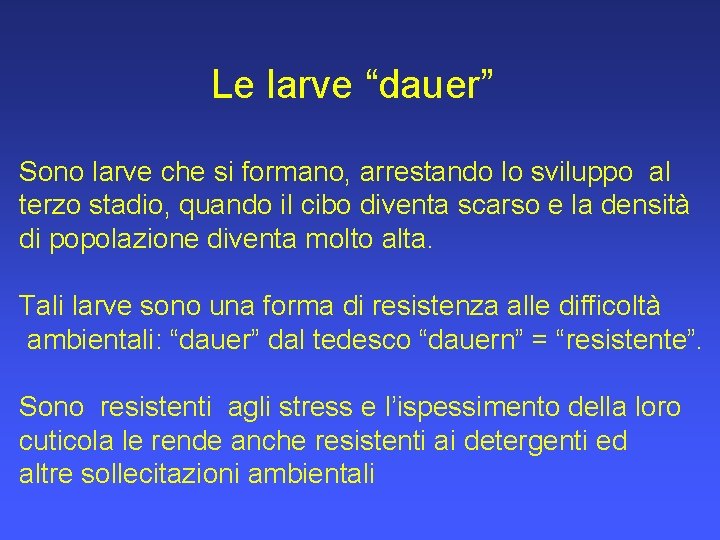 Le larve “dauer” Sono larve che si formano, arrestando lo sviluppo al terzo stadio,