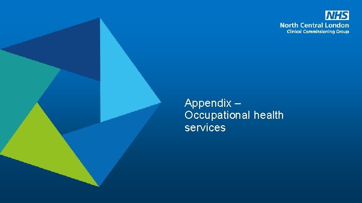 Appendix – Occupational health services 