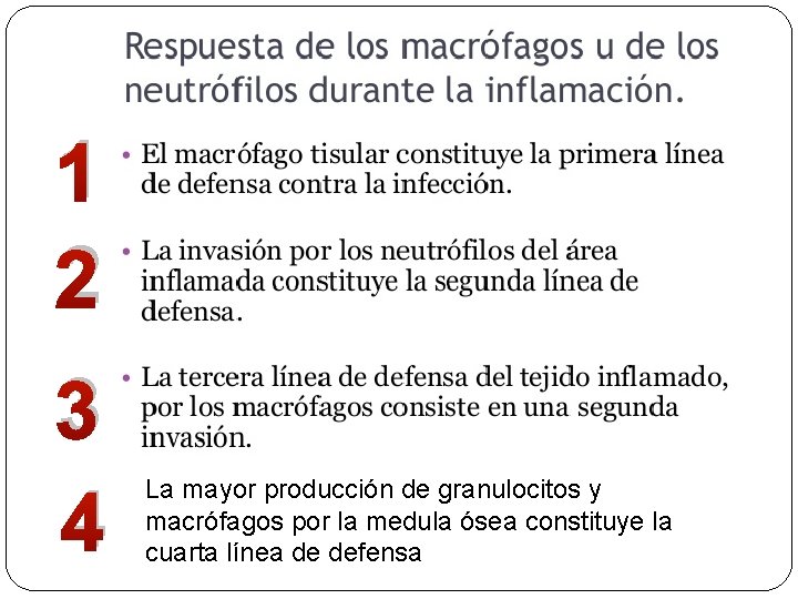 1 2 3 4 La mayor producción de granulocitos y macrófagos por la medula