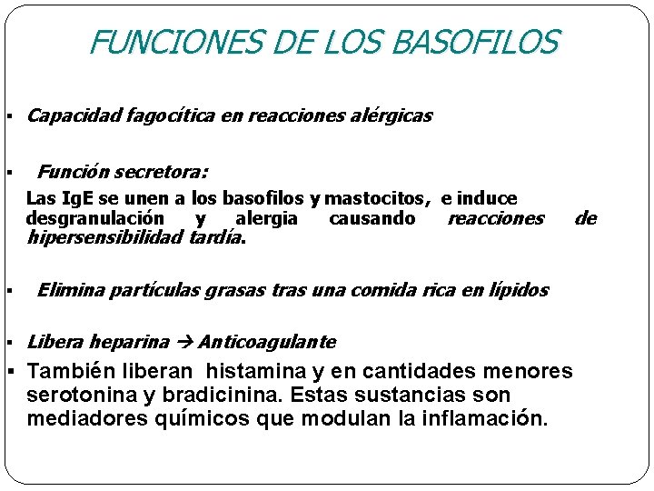 FUNCIONES DE LOS BASOFILOS § § Capacidad fagocítica en reacciones alérgicas Función secretora: Las