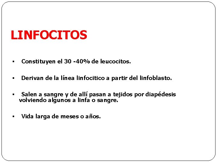 LINFOCITOS § Constituyen el 30 -40% de leucocitos. § Derivan de la línea linfocitico