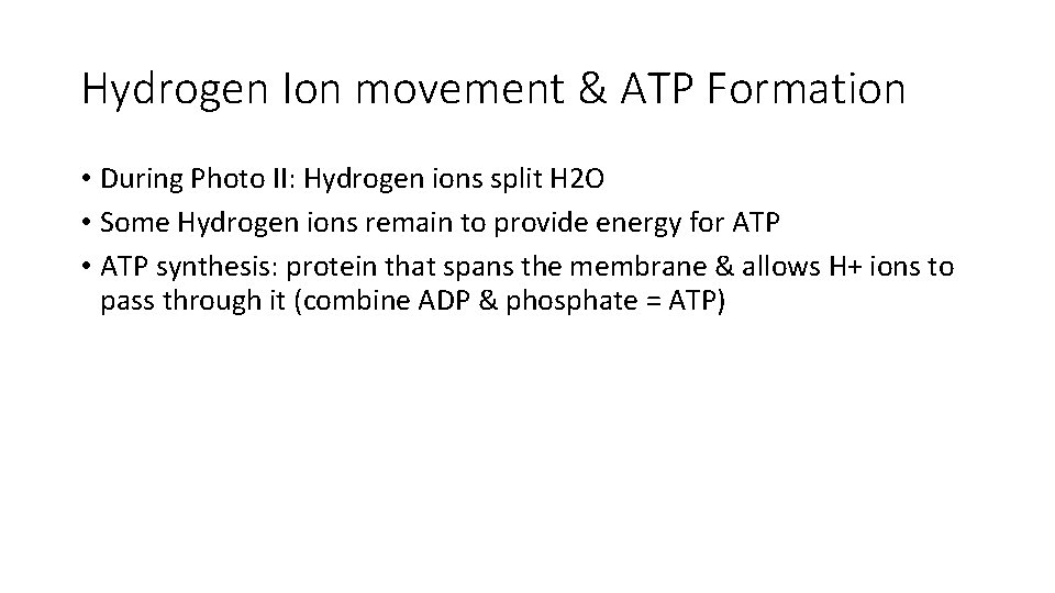 Hydrogen Ion movement & ATP Formation • During Photo II: Hydrogen ions split H