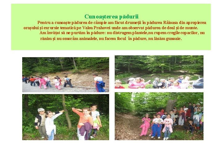 Cunoașterea pădurii Pentru a cunoaște pădurea de câmpie am făcut drumeții în pădurea Râioasa