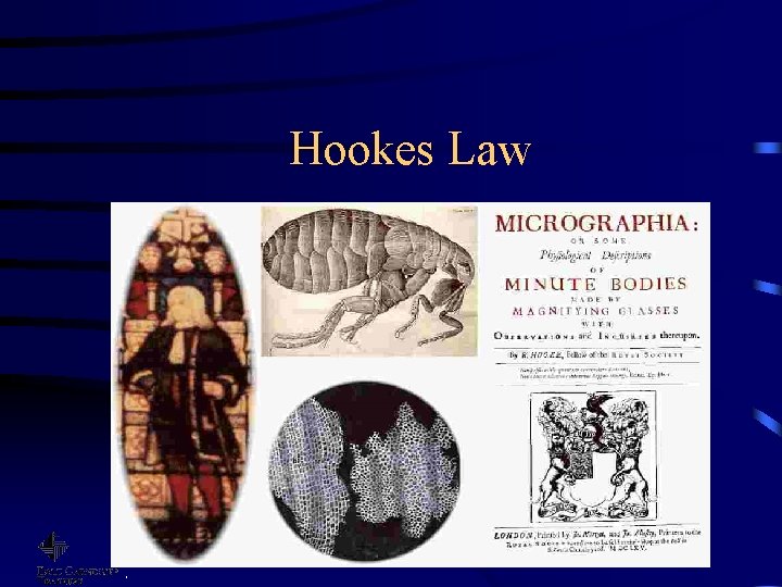 Hookes Law . 