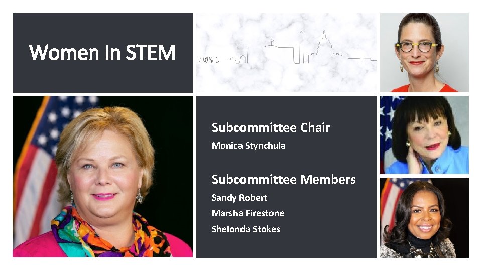 Women in STEM Subcommittee Chair Monica Stynchula Subcommittee Members Sandy Robert Marsha Firestone Shelonda