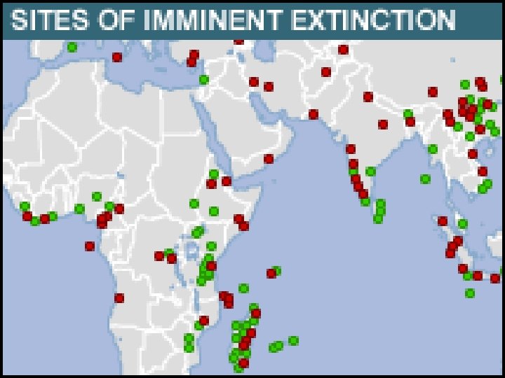 Mapa Extinction UNDER THREAT OF EXTINCTION THERE ARE MANY SPECIES