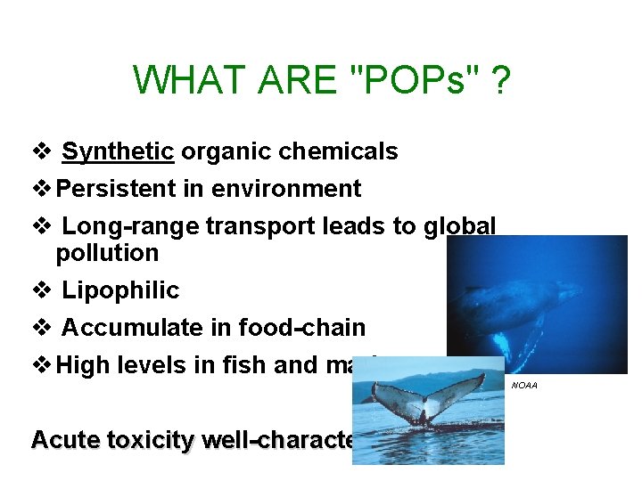 WHAT ARE "POPs" ? v Synthetic organic chemicals v Persistent in environment v Long-range