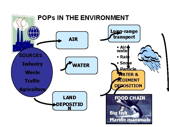 POPs IN THE ENVIRONMENT AIR SOURCES Industry WATER Waste Traffic Agriculture LAND DEPOSITIO N