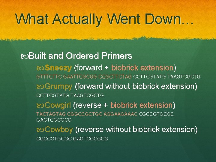 What Actually Went Down… Built and Ordered Primers Sneezy (forward + biobrick extension) GTTTCTTC