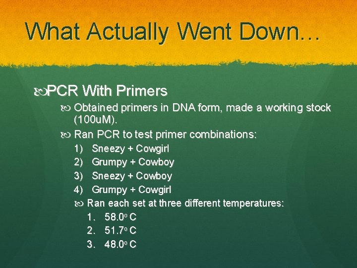 What Actually Went Down… PCR With Primers Obtained primers in DNA form, made a