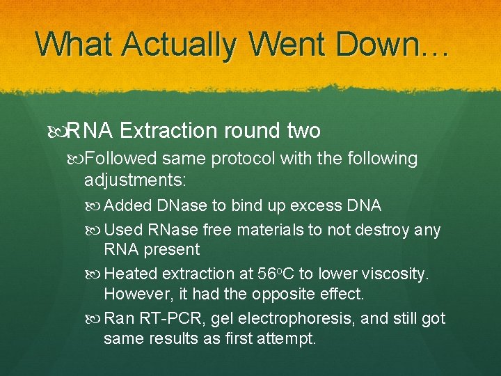 What Actually Went Down… RNA Extraction round two Followed same protocol with the following