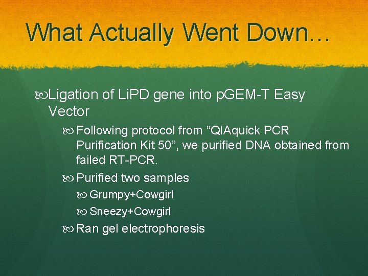 What Actually Went Down… Ligation of Li. PD gene into p. GEM-T Easy Vector