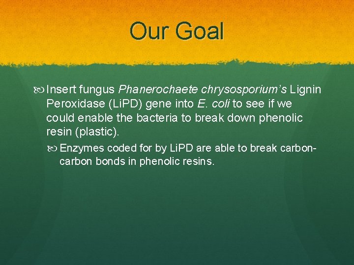 Our Goal Insert fungus Phanerochaete chrysosporium’s Lignin Peroxidase (Li. PD) gene into E. coli