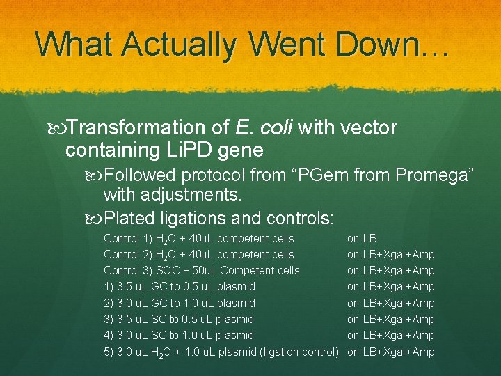 What Actually Went Down… Transformation of E. coli with vector containing Li. PD gene