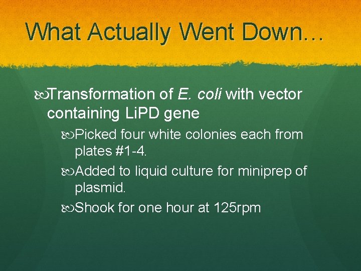 What Actually Went Down… Transformation of E. coli with vector containing Li. PD gene