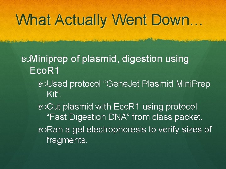 What Actually Went Down… Miniprep of plasmid, digestion using Eco. R 1 Used protocol