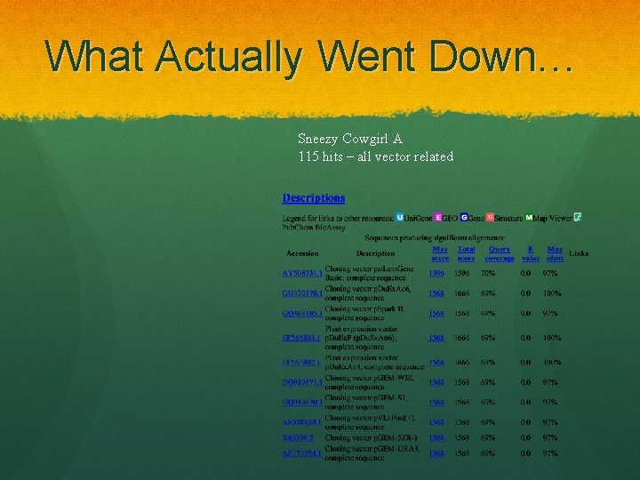 What Actually Went Down… Sneezy Cowgirl A 115 hits – all vector related 