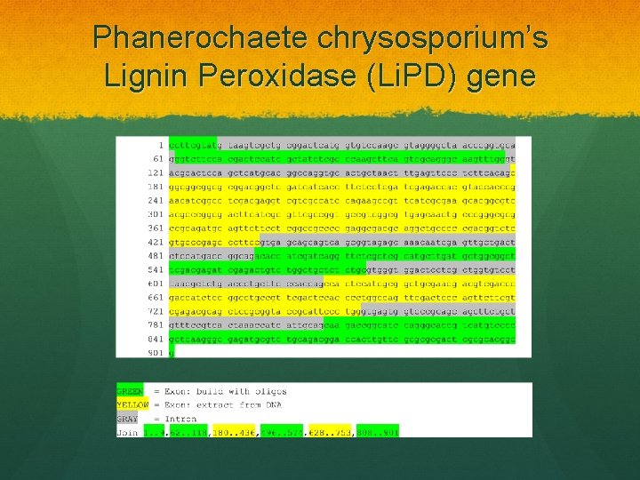 Phanerochaete chrysosporium’s Lignin Peroxidase (Li. PD) gene 