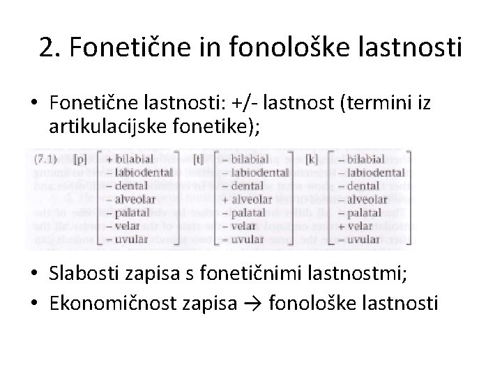 2. Fonetične in fonološke lastnosti • Fonetične lastnosti: +/- lastnost (termini iz artikulacijske fonetike);